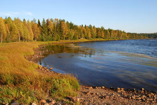 der Torneälven bildet immer wieder kleine Buchten