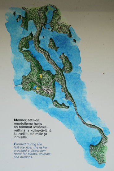 auf diesem Ås, dem Punkaharju, wollten wir entlangfahren