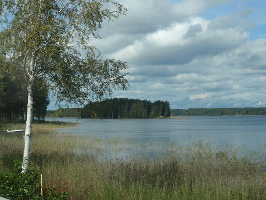 typische finnische Seenlandschaft