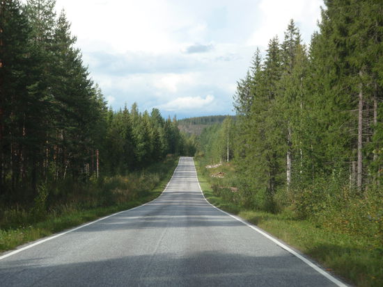 endlose finnische Wälder