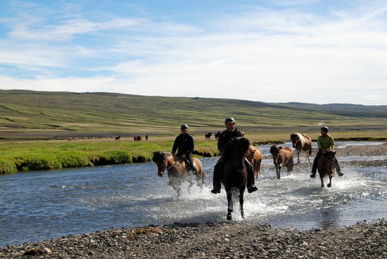 wieder auf der richtigen Piste zeigten die Pferde uns den Weg durch das Wasser