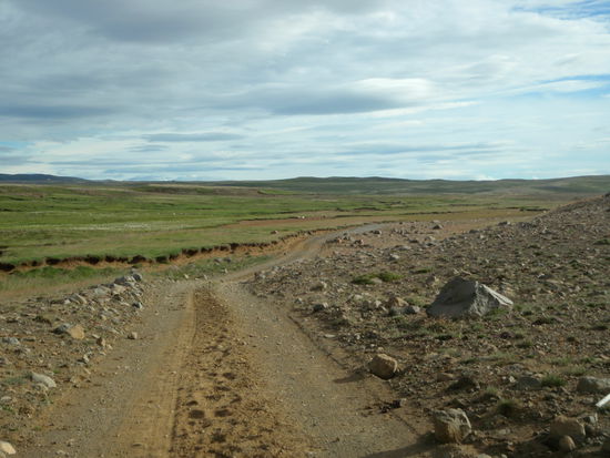 weiter durch Steinfelder