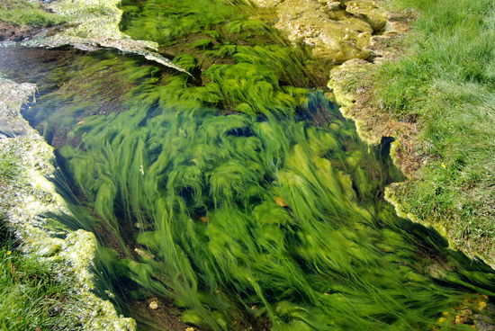und über den warmen Zufluß zum Bad