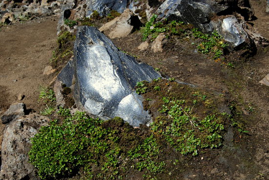 Blaubasalt spiegelte in der Sonne