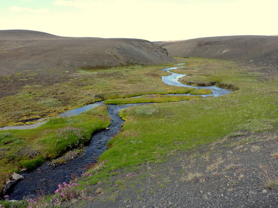 wo es Wasser gab war es grün