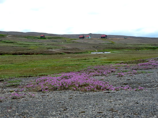 Blick zurück zur Station Laugafell