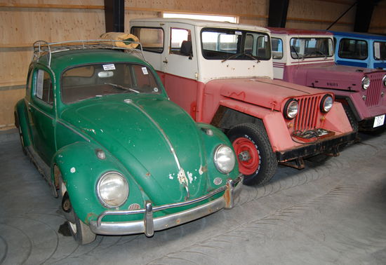 Käfer und Jeep