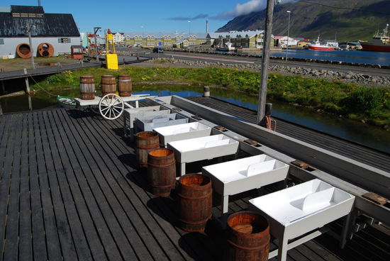 so wurden die Heringe eingesalzen