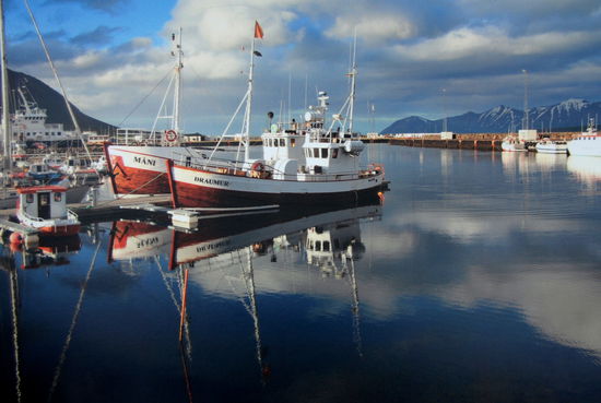 Bild im Büro, mit dem hinteren Boot Máni fuhren wir hinaus