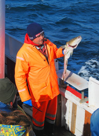 Erklärung der Fische und wie man sie ausnimmt