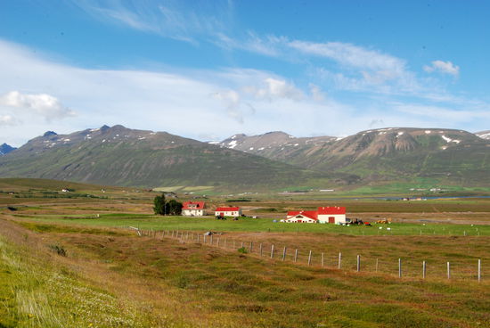 immer wieder sahen wir Häuser mit bunten Dächern