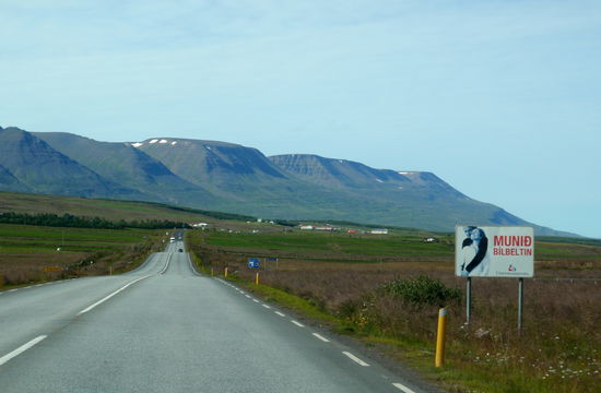 eine andere Variante, uns daran zu erinnern, den Sicherheitsgurt anzulegen