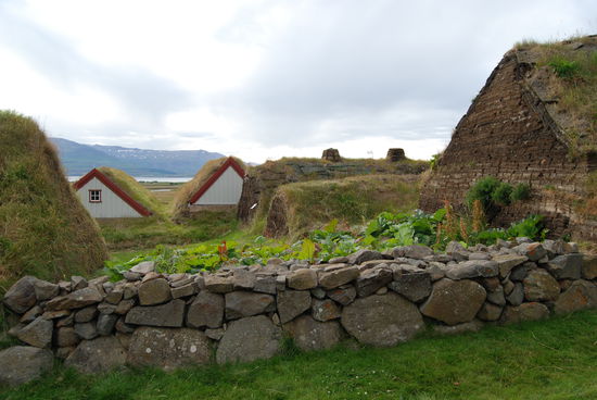 Gemüsegarten im Torfhof, überall gab es Rhabarber