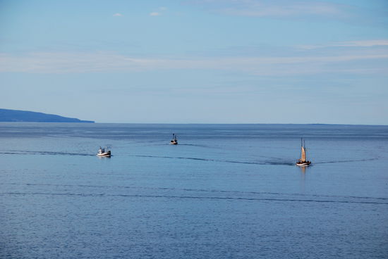 Walbeobachtungsboote