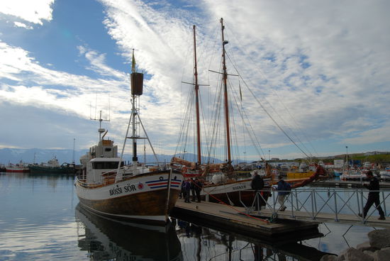 Walbeobachtungsboote