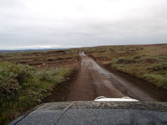 auf der F862 mit braunen Pfützen