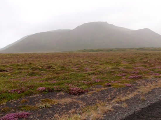 das Wetter war noch ziemlich diesig