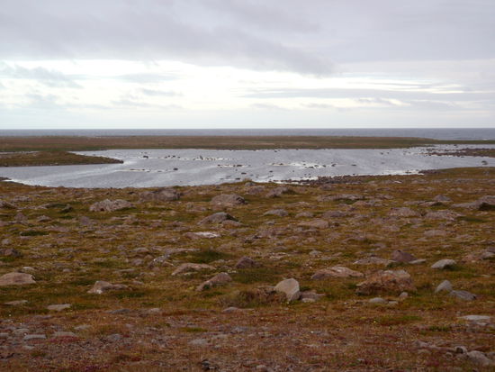 flache, steinige Küste