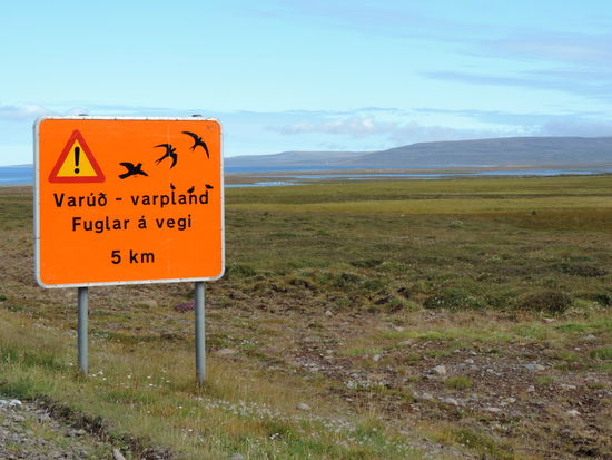 Warnung vor Tieffliegern