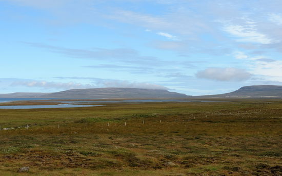 Heiðarfjall, der Aussichtsberg lag leider in Wolken