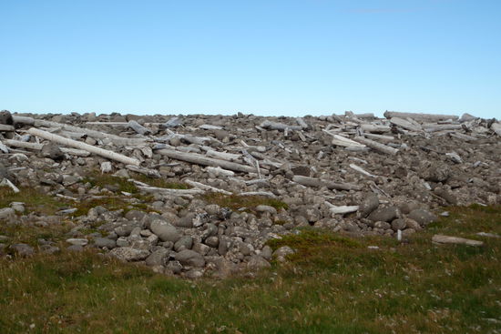 jede Menge Treibholz