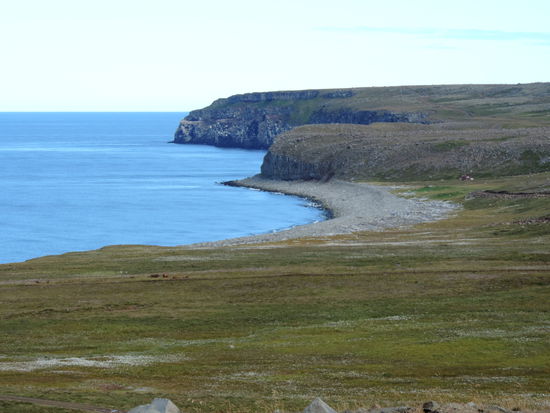 dann kamen die Vogelklippen in Sicht