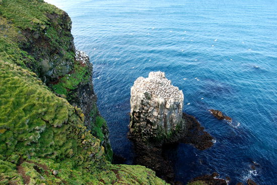 des Vogelfelsen „Stóra Karl“