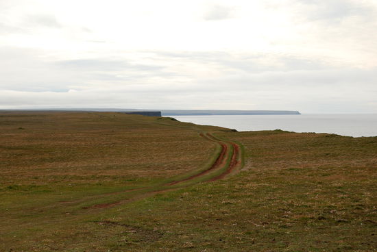 die rote Piste führte uns zurück