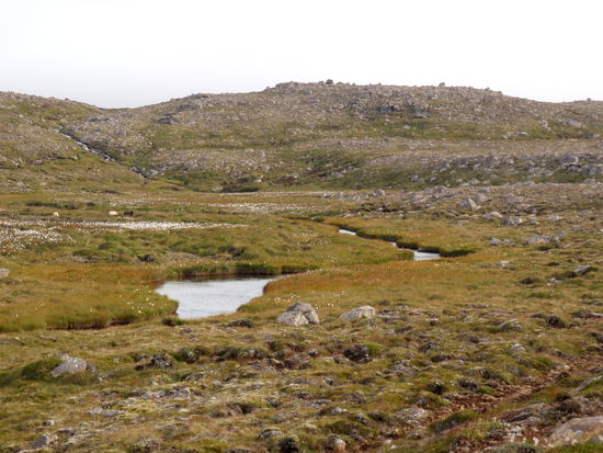 die immer wieder von Bachläufen durchzogen war