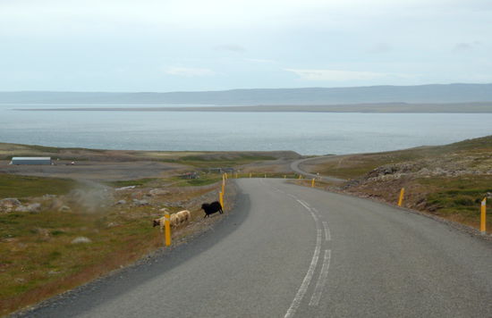teilweise war die Straße auch asphaltiert und führte dann wieder hinunter zum Finnafjörður