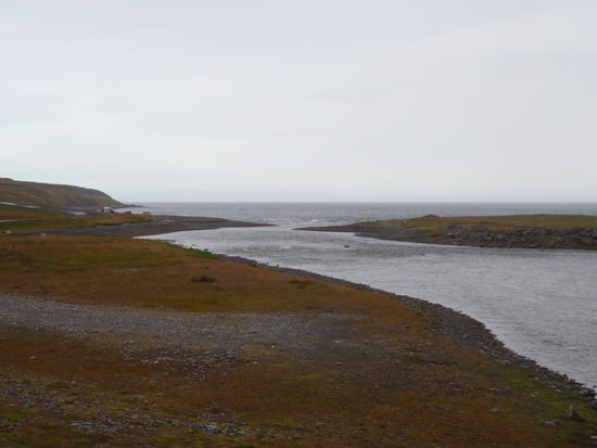 wir überquerten den Fluß Miðfjarðará