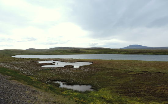 auf der Hochfläche Sandvíkurheiði