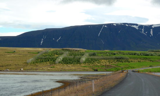 am gegenüberliegenden Hang wurde aufgeforstet