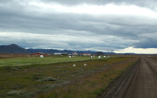 bald hatten wir Möðrudalur erreicht, den höchstgelegenen Bauernhof Íslands