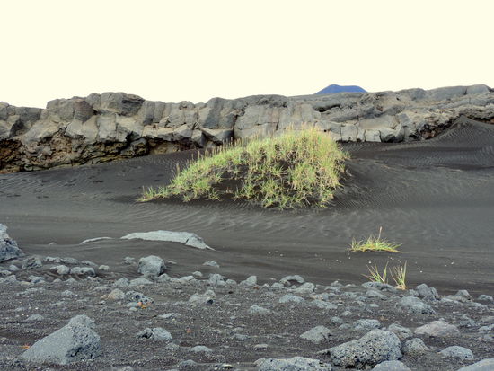 alle möglichen Gesteinsarten: Sand, Lava, Basalt bis hin zum Gras