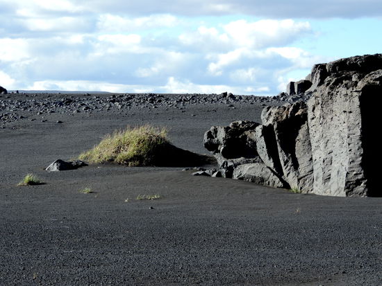 ab und zu ein Grasbüschel