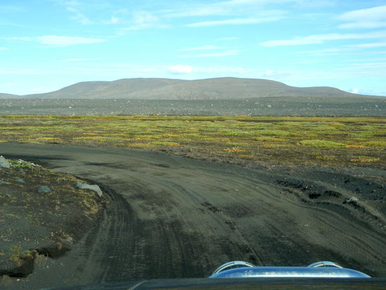 in der Nähe von Wasser bildeten sich sogar grüne Flächen