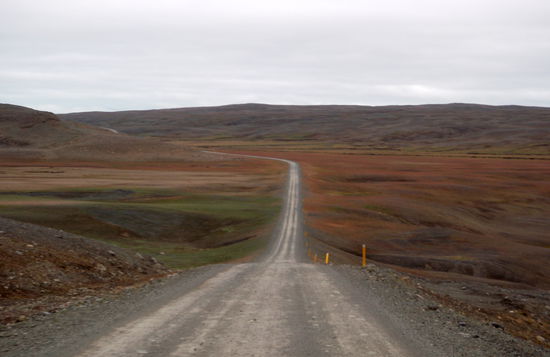 rot gefärbtes Gras bei der Abfahrt von der zweiten Bergkette