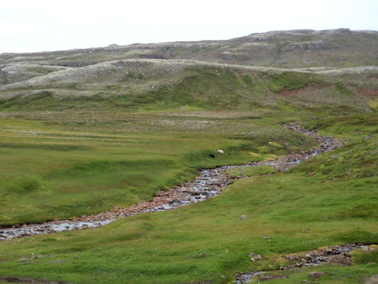 kleiner Bach im Gebirge