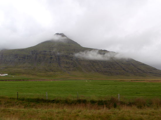 in der Ebene des Fjordes