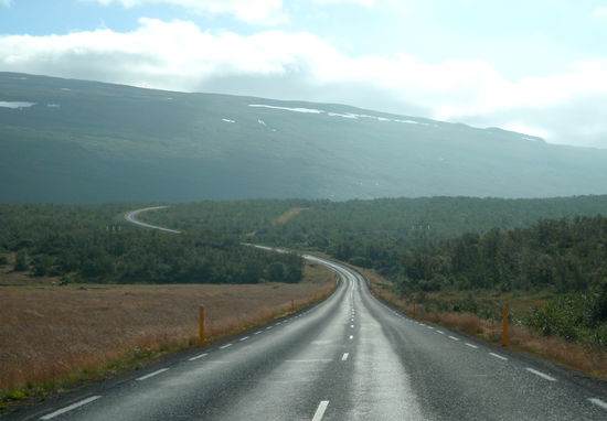 die Straße 92 ein Stück zurück in Richtung Süden führte durch kleine Waldgebiete