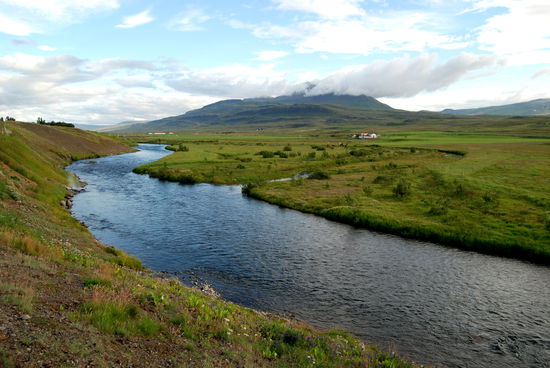 Húseyjarkvísl am Campingplatz Steinstaðir