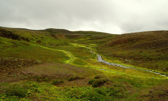 wo es Wasser gab, war es grün