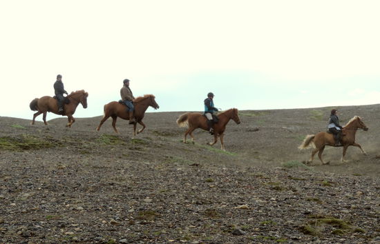 Reitergruppe neben dem Weg