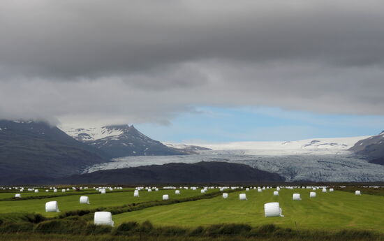 immer wieder Gletscherzungen, 
ob die Heurollen nach Norwegen geliefert werden? Während Europa unter Hitze litt, hatte Ísland Heu im Überfluß durch viel Regen