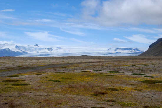der Breiðamerkurjökull