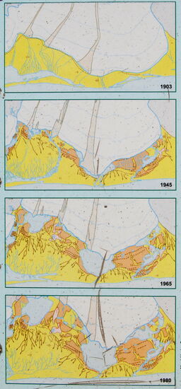 Rückgang des Gletschers von 1903-1980