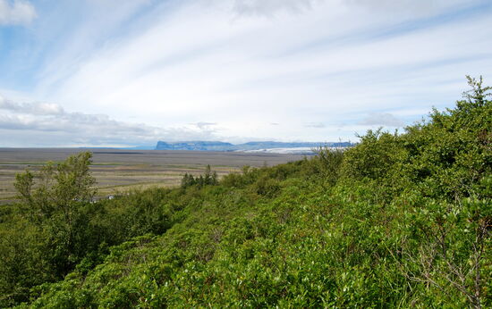 Blick auf den Sander