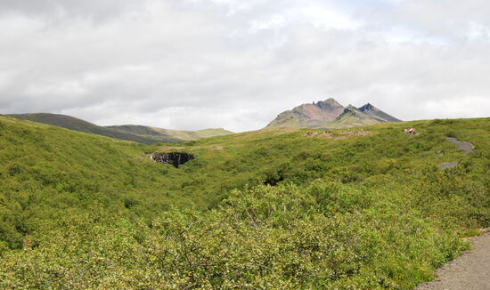 der Svartifoss kommt in Sicht
