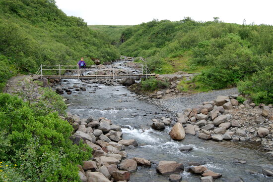 die Brücke zum Hauptweg